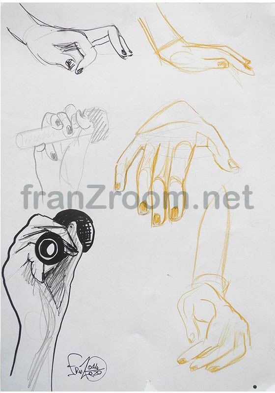 Studi Anatomici - AndreA FranZosi, franZroom.net